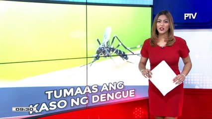 Kaso ng dengue, mas mataas sa taong ito ayon sa DOH