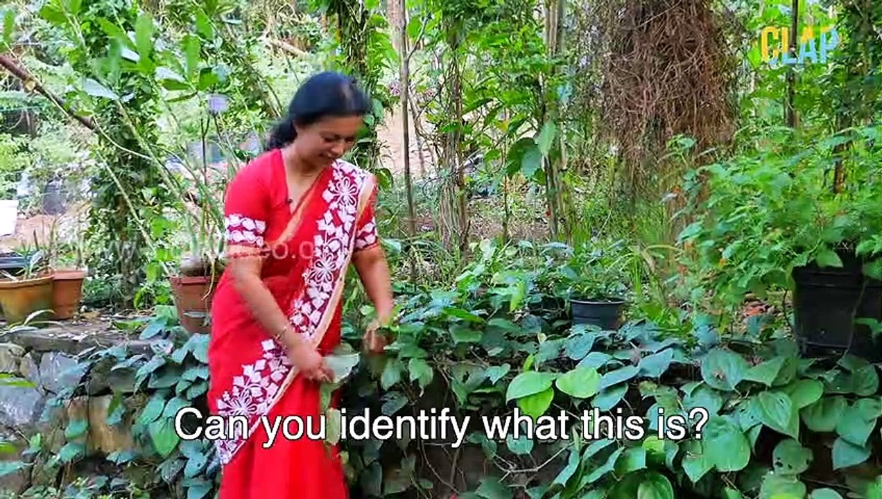 Kerala Spices – The Secret Taste of Kerala