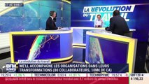 La révolution du travail: Les relations entre salariés sont-elles différentes en environnement ouvert ou flexible ? - 27/05