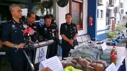 Polis rampas 1.57 tan daun ketum dan pistol