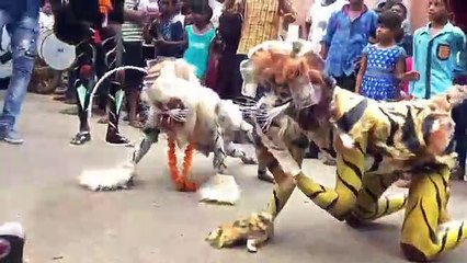 Dance in animals costumes