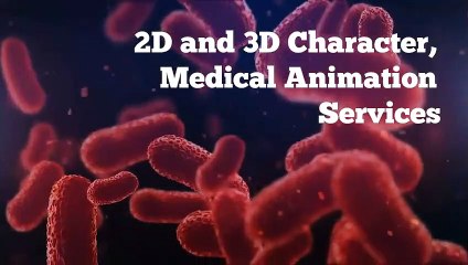 Get Animation Content Services - Viral Marketing Hub