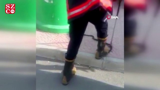 Hastane önünde yılan paniği