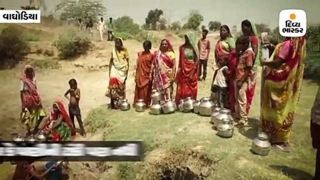 એક કિમી દૂર કોતરોમાં 5 ફૂટ ઊંડી વેરી ખોદી પાણી લાવતી મહિલાઓ