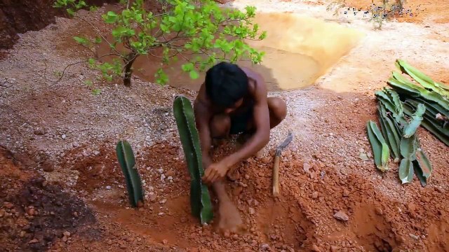 Build amazing natural waterfall swimming pool and cactus for fence by digging cliff