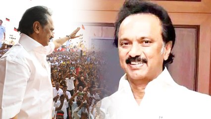 MK Stalin: தேர்தலில் இமாலய வெற்றி... ஸ்டாலினிடம் வரிசைகட்டும் தேசிய தலைவர்கள்!- வீடியோ