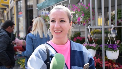 Panairi i luleve në Korçë, organizohen edhe koncerte - Top Channel Albania - News - Lajme