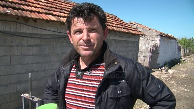 Unaza e Myzeqesë, rruga që nxjerr shpejt në treg prodhimet bujqësore - Top Channel Albania