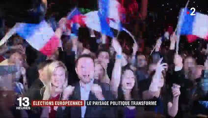 Élections européennes : le RN bat LREM, EELV crée la surprise