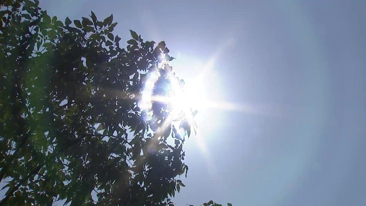 [날씨] 내일 맑고 다시 기온 올라...서울 25℃ / YTN