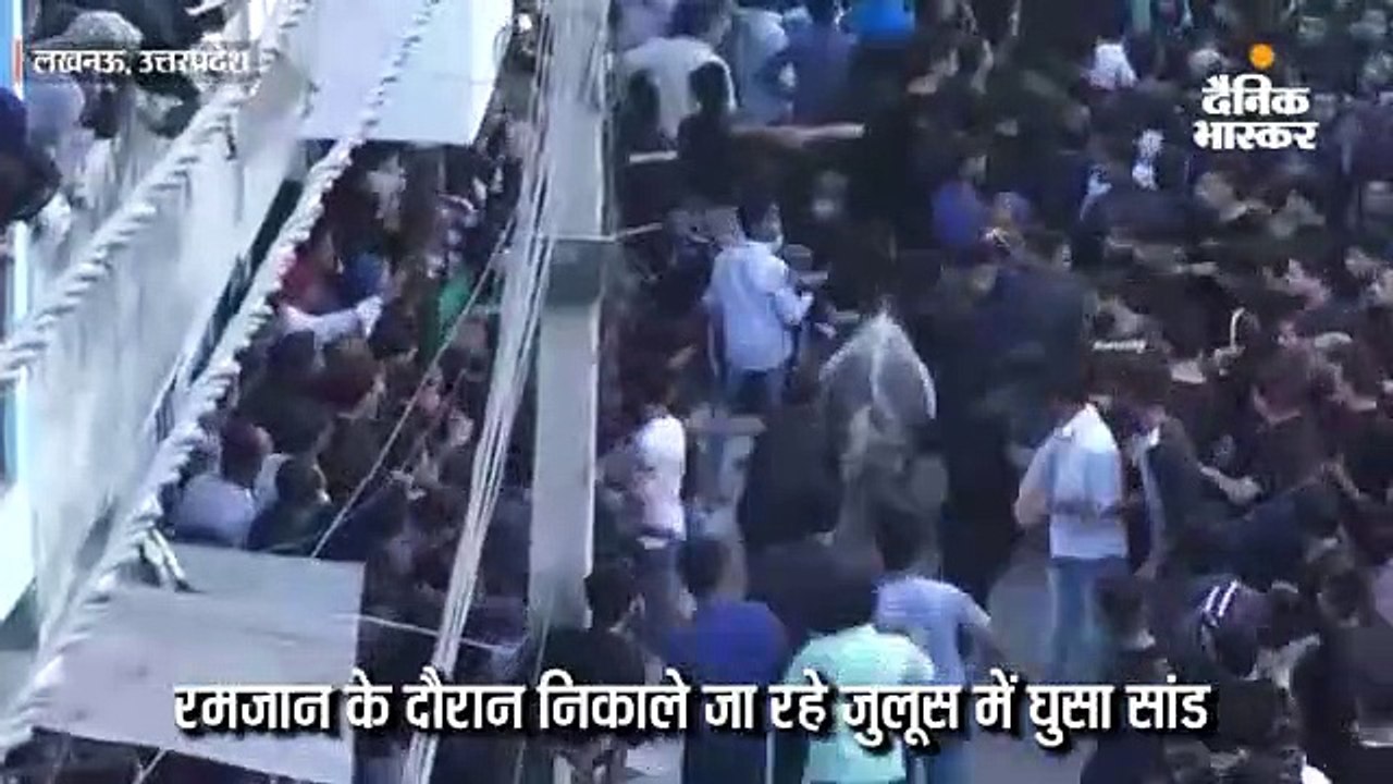 रमजान के जुलूस में सांड़ ने मचाया तांडव; कई घायल