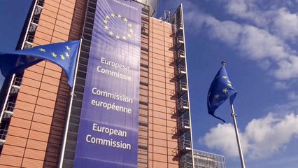 حسب النتائج الأولية.. يمين الوسط أكبر تكتل بالبرلمان الأوروبي