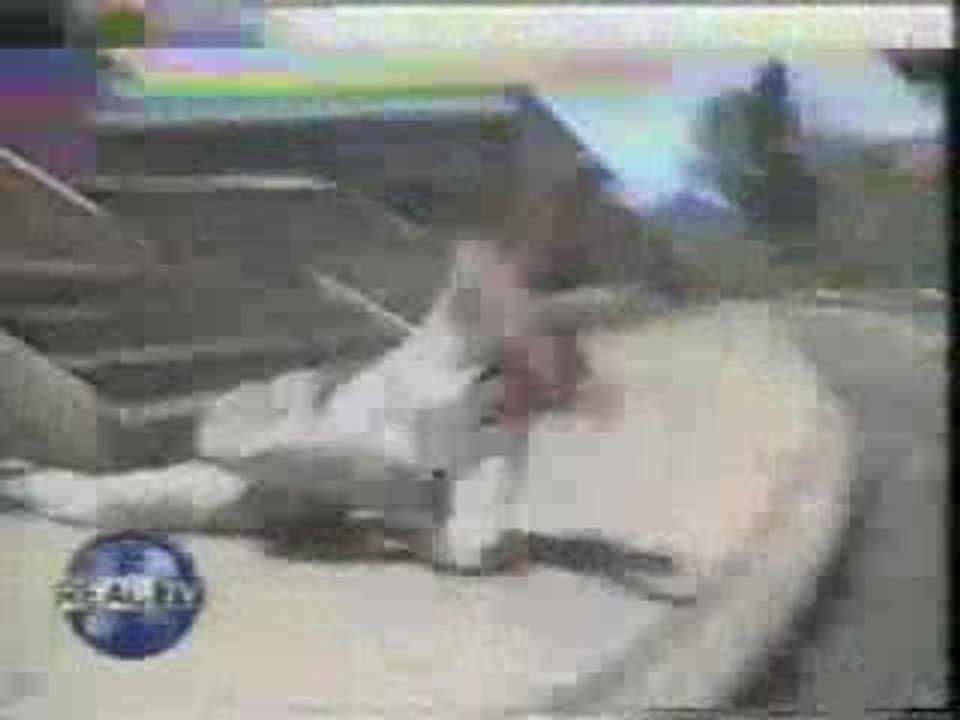 Jackass - Horrible crash en skate