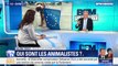 Élections européennes: succès surprise du parti animaliste