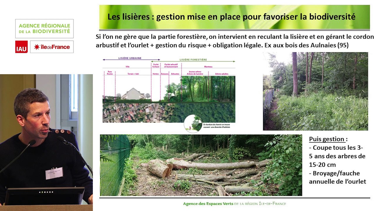 7 - Jean-François ANTOINE - Rencontre technique "Continuités écologiques et forêts" 2019