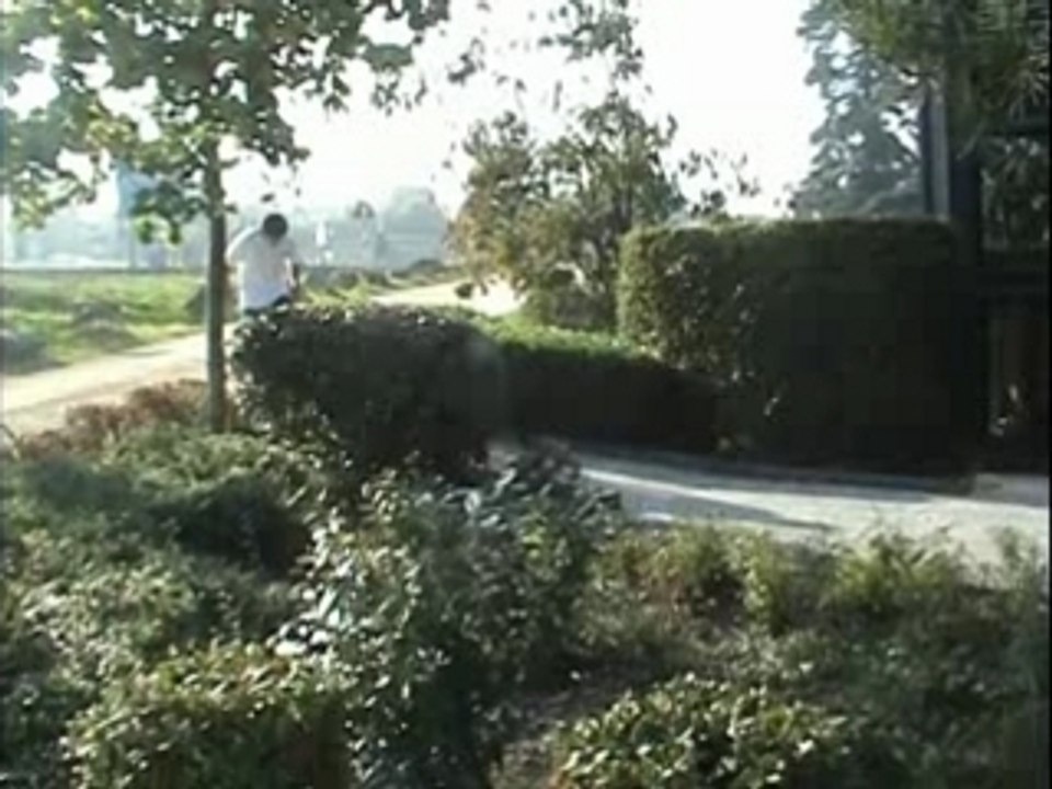 My skate video