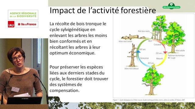 11 - Élise AVENAS - Rencontre technique Continuités écologiques et forêts 2019