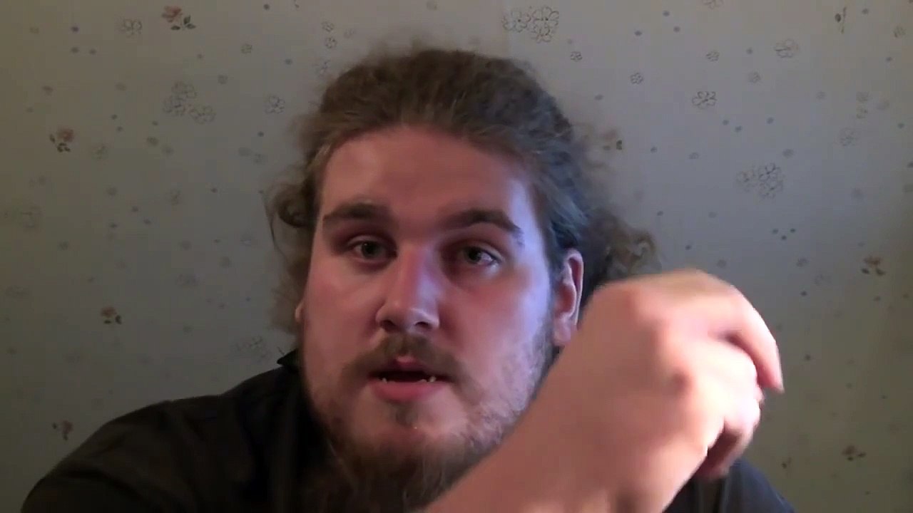 Drachen Vlog 2 Harmonie Of Metal Folge #003 Drache reden klartext