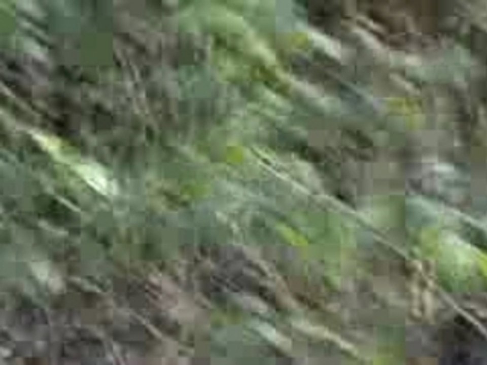 M2U00058