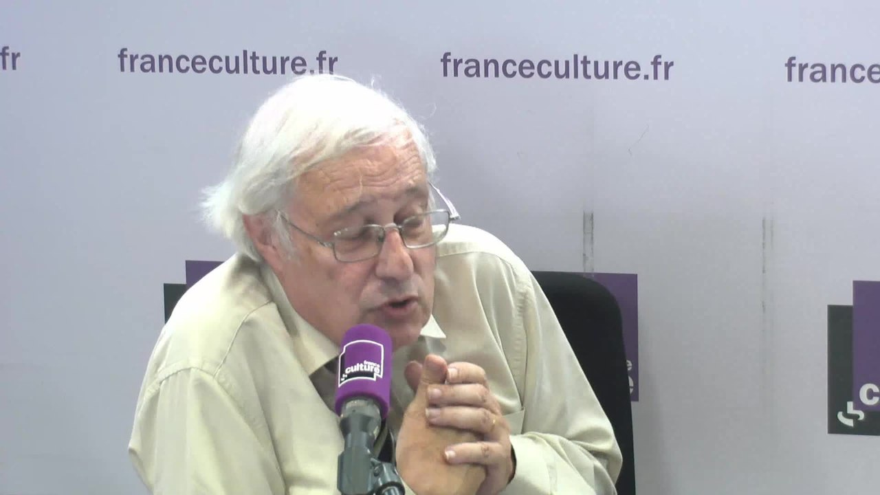 Betrand Badie : "Ces partis lorsqu’ils accèdent au pouvoir, non seulement ils ne demandent pas à sortir de l’Europe, mais en plus ils sont obéissants !"
