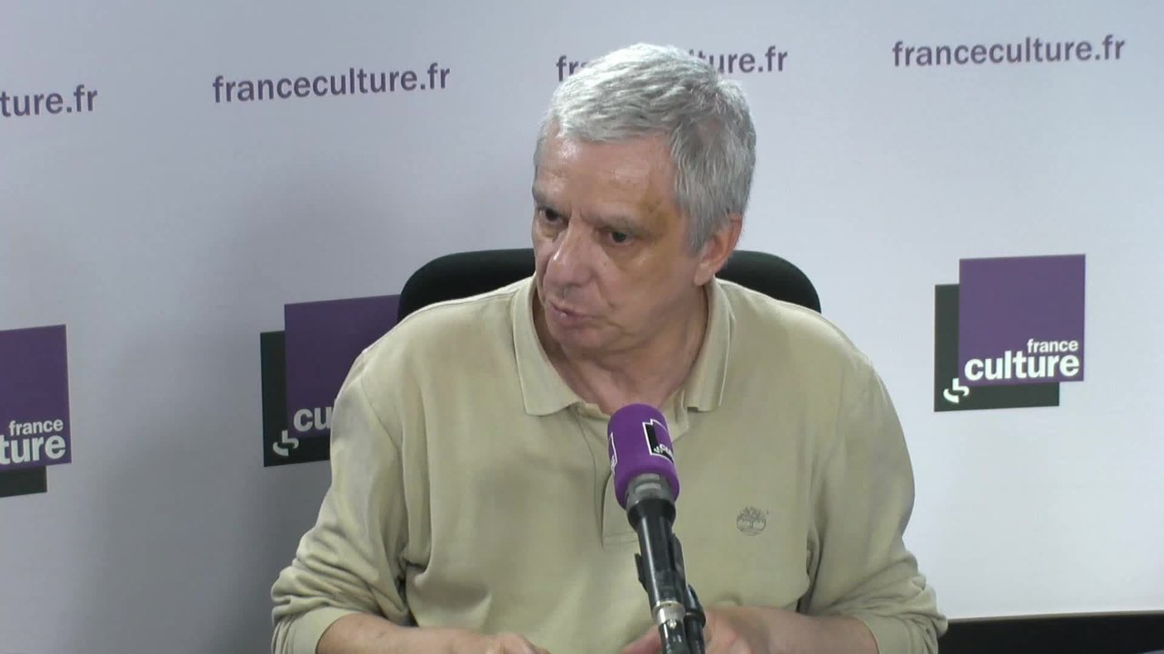 Jean-Yves Camus : "La majorité des partis nationaux-populistes n'ont plus à l'ordre du jour le retrait de l'Union européenne"