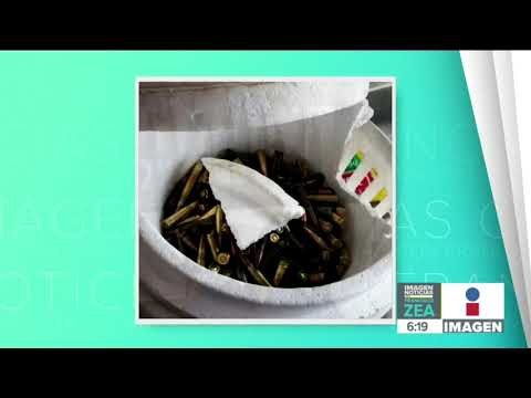 Aseguran más de 1 millón de dólares y armas ocultas en Tamaulipas y Coahuila | Francisco Zea