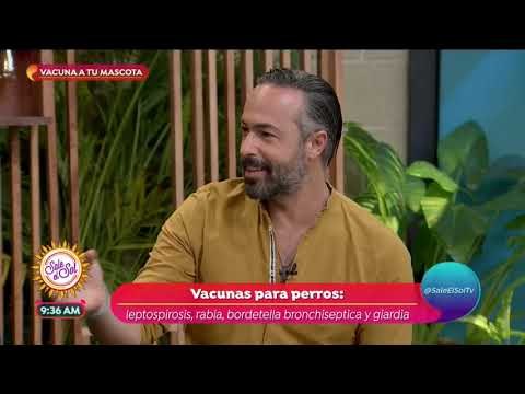 ¿Cada cuándo debo llevar a mi mascota al veterinario? | Sale el Sol