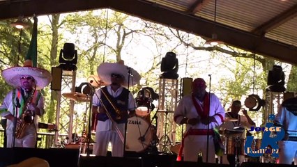 el señor de las canas , paraiso tropical