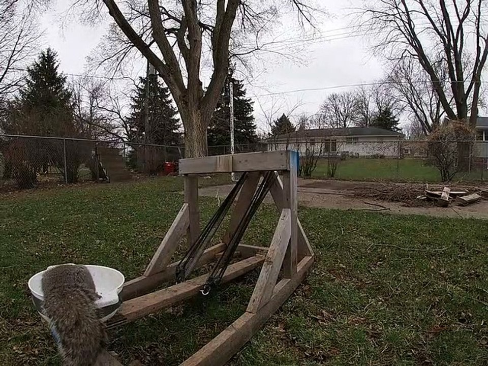 Il fabrique une catapulte à écureuil... Pas sympa avec les rongeurs