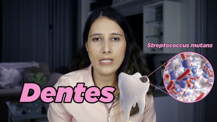 Dani S01E01 versão 02