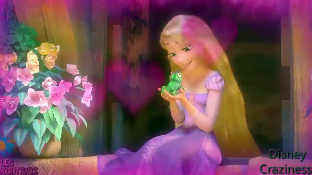 Disney Craziness Tangled Craziness Zootopia Craziness Moana  Craziness