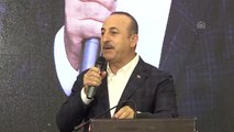 Çavuşoğlu: 