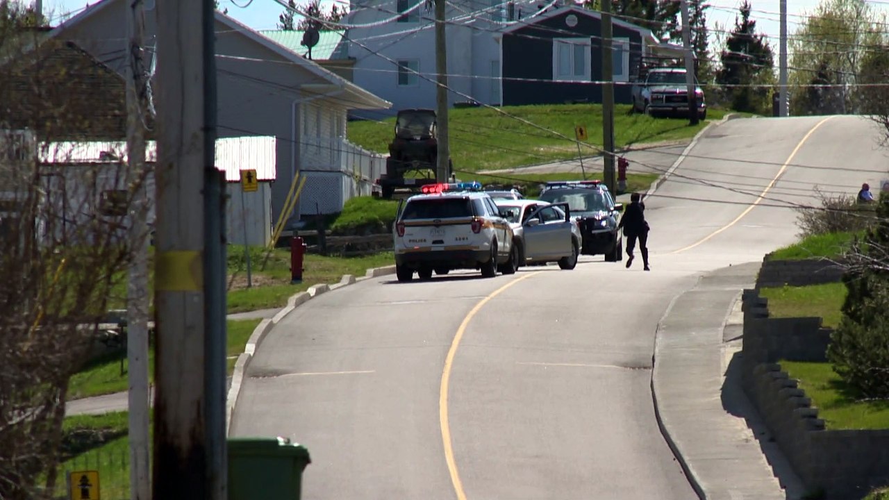 Une poursuite policière à La Malbaie entraîne une arrestation musclée