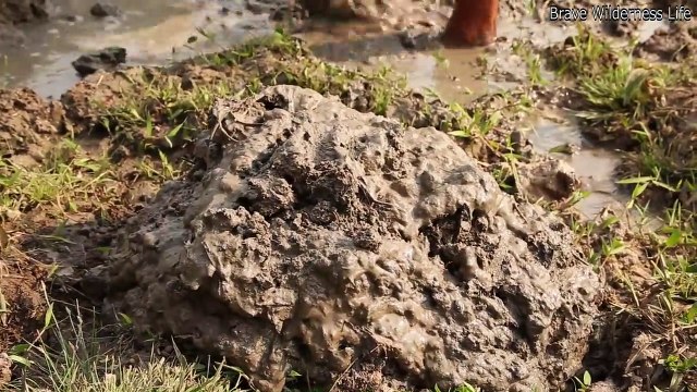 Build the greatest swimming pool underground cliff mountain by digging cliff