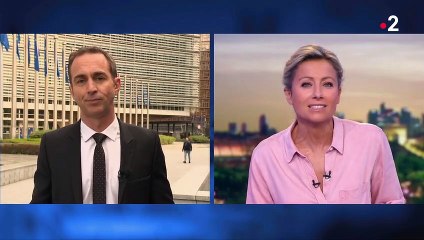 Élections européennes : quel rôle pour les écologistes au Parlement ?