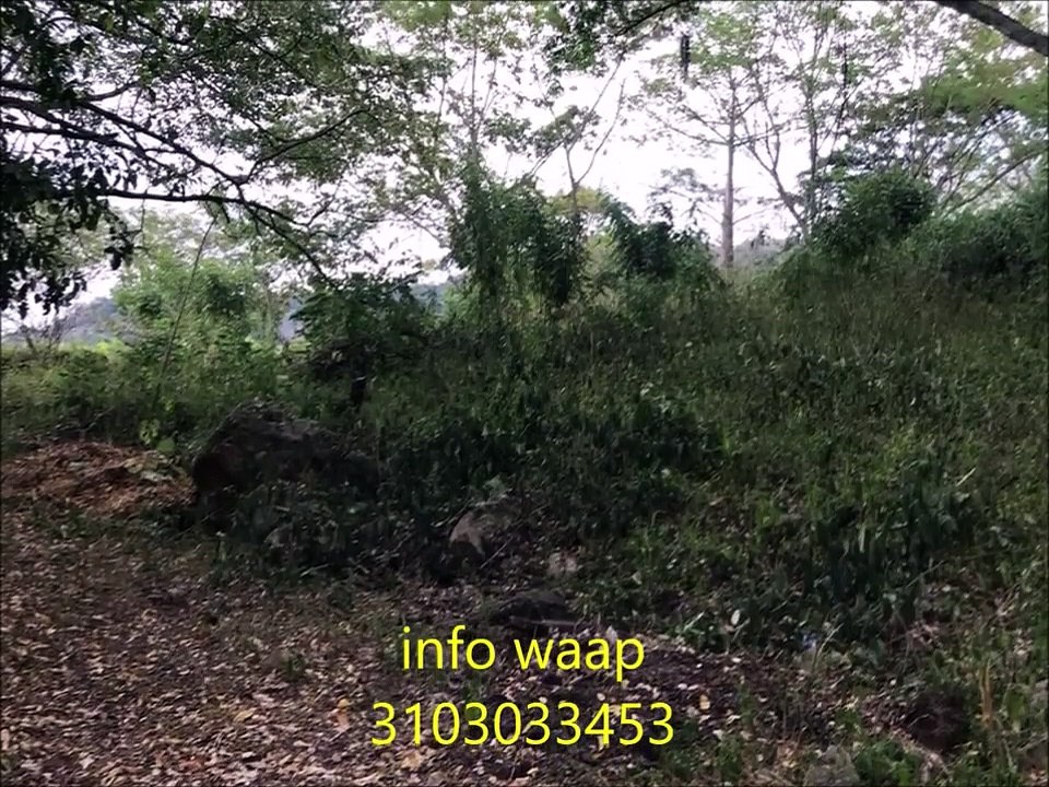 anapoima lote ideal finca recreo o conjunto mesa de yeguas