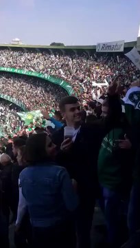 Arquibancada de Couto Pereira treme durante Jogo de COritiba.