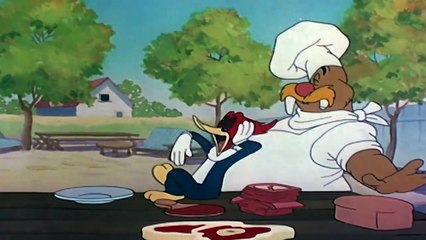 El Pajaro Loco en Español | El Dippy Diplomático | Dibujos Animados en Español