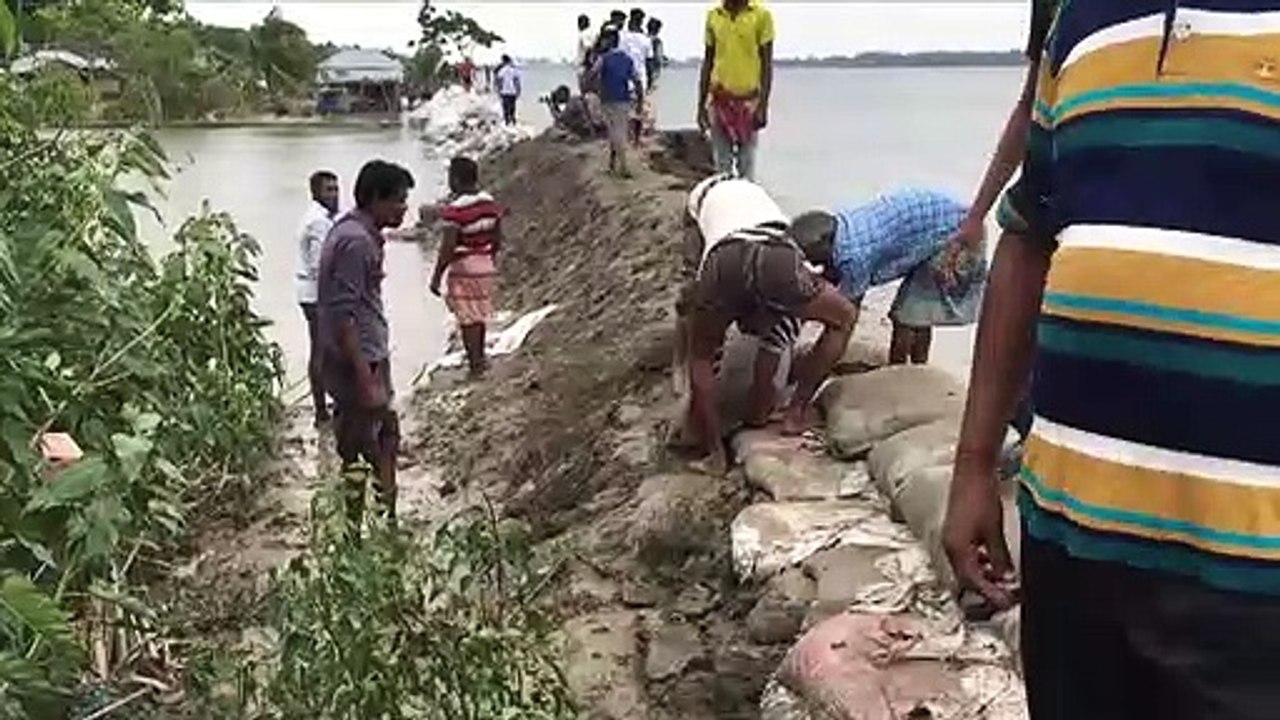 Estudo revela altas concentrações de antibióticos em rios