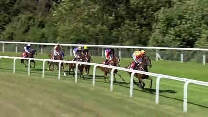 일본경마사이트 M A 892 점 NET