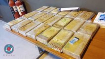 Kokaina në Maltë, Policia Shqiptare kërkon informacion nga homologët - Lajme - Vizion Plus
