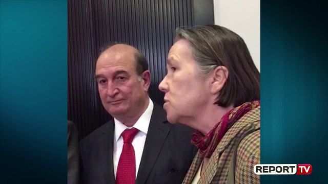 Report TV -Rikthimi i vizave nga Holanda, ambasadorja franceze: Nuk është përfundimtare