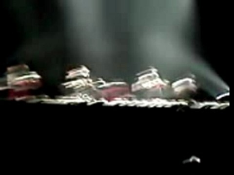 Vegastar 1er partie de linkin park le 17/01/08 Amneville - 1