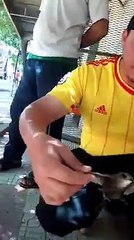 This is an "Ababeel" as mentioned in surah Feel Watch how Ababeel can hold stones in its feet