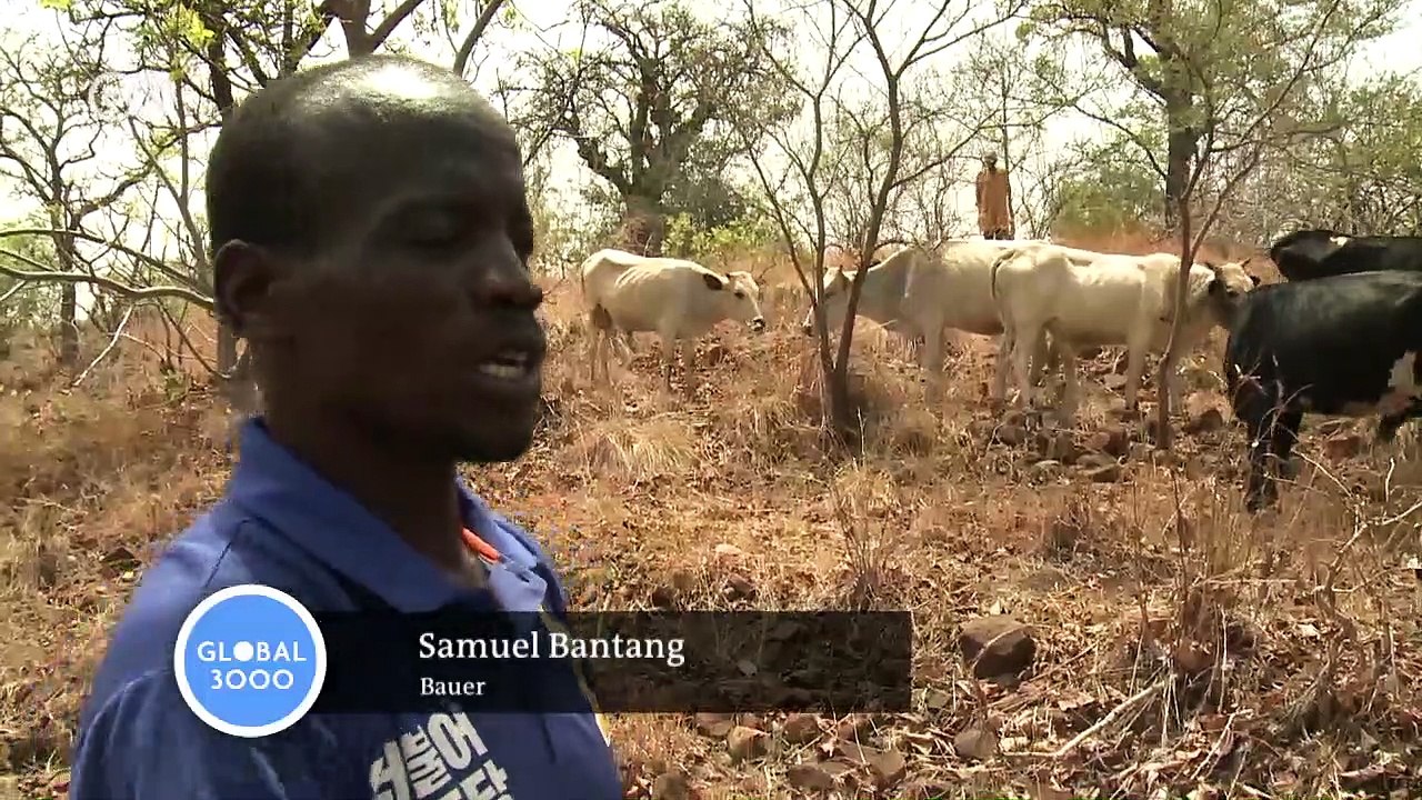 Der unterirdische Wald Afrikas | Global 3000