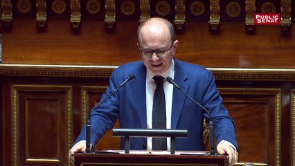 Notre-Dame : Le patrimoine n’est pas figé pour André Gattolin (LREM)