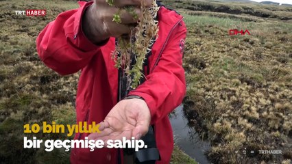 Türkiye'nin en büyük turba bataklığı koruma altına alındı