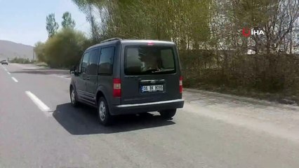 Araç bagajında yolculuk yapan dana kamerada