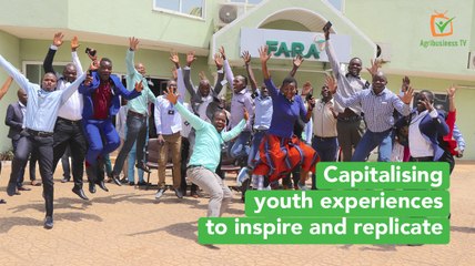 Capitalising youth experiences to inspire and replicate