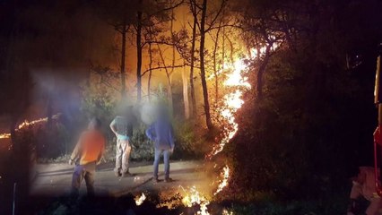 산불 내고 신고한 이유..."무기 계약직 되고 싶어서" / YTN